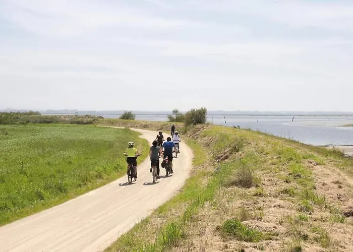 بيت للعطل Casa Dos Avos Veras أفيرو